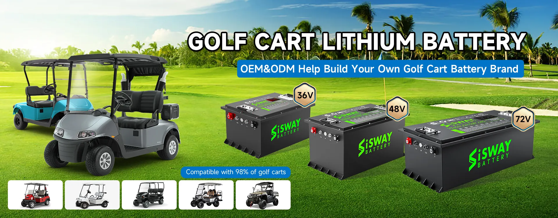 golf cart battery11